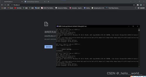 哈工大計算機網絡實驗一 HTTP代理服務器的設計與實現