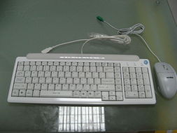 神舟新瑞L3900e一體電腦 簡(jiǎn)約設(shè)計(jì)與實(shí)用性能的融合典范